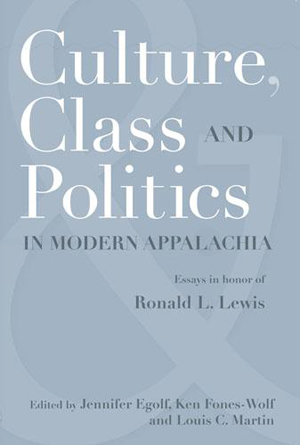 Culture, Class, and Politics