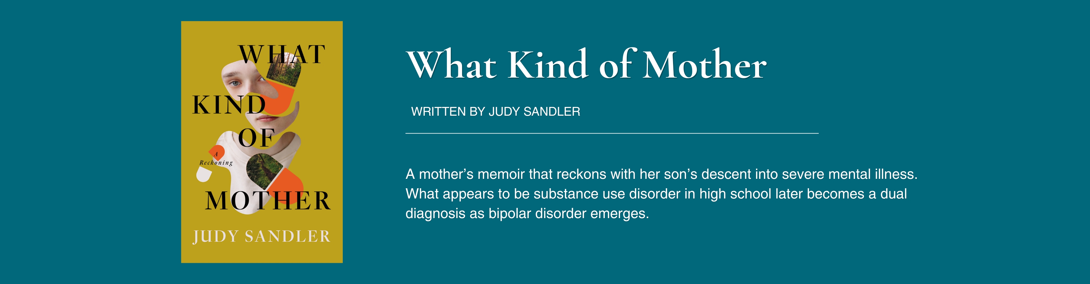 What Kind of Mother - Judy Sandler